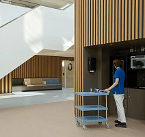 Forbo Sphera Essence 50531 gentle sky фото 2 | FLOORDEALER